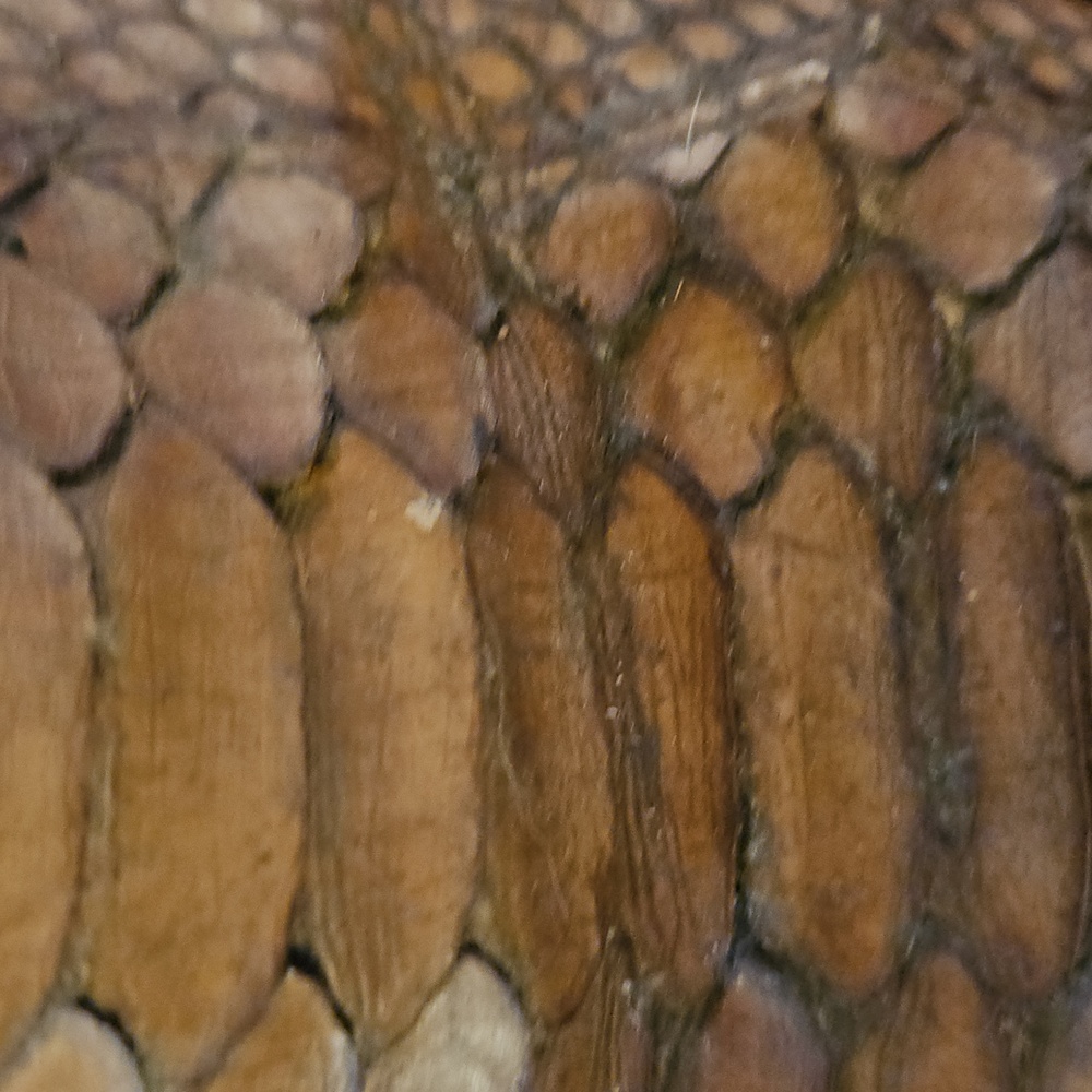 Dan Post Vintage Golden Python- Large Scale With Bag - Picture 13 of 13